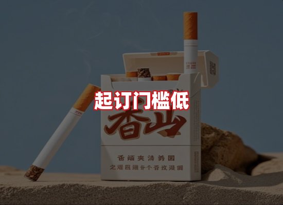 专业团队